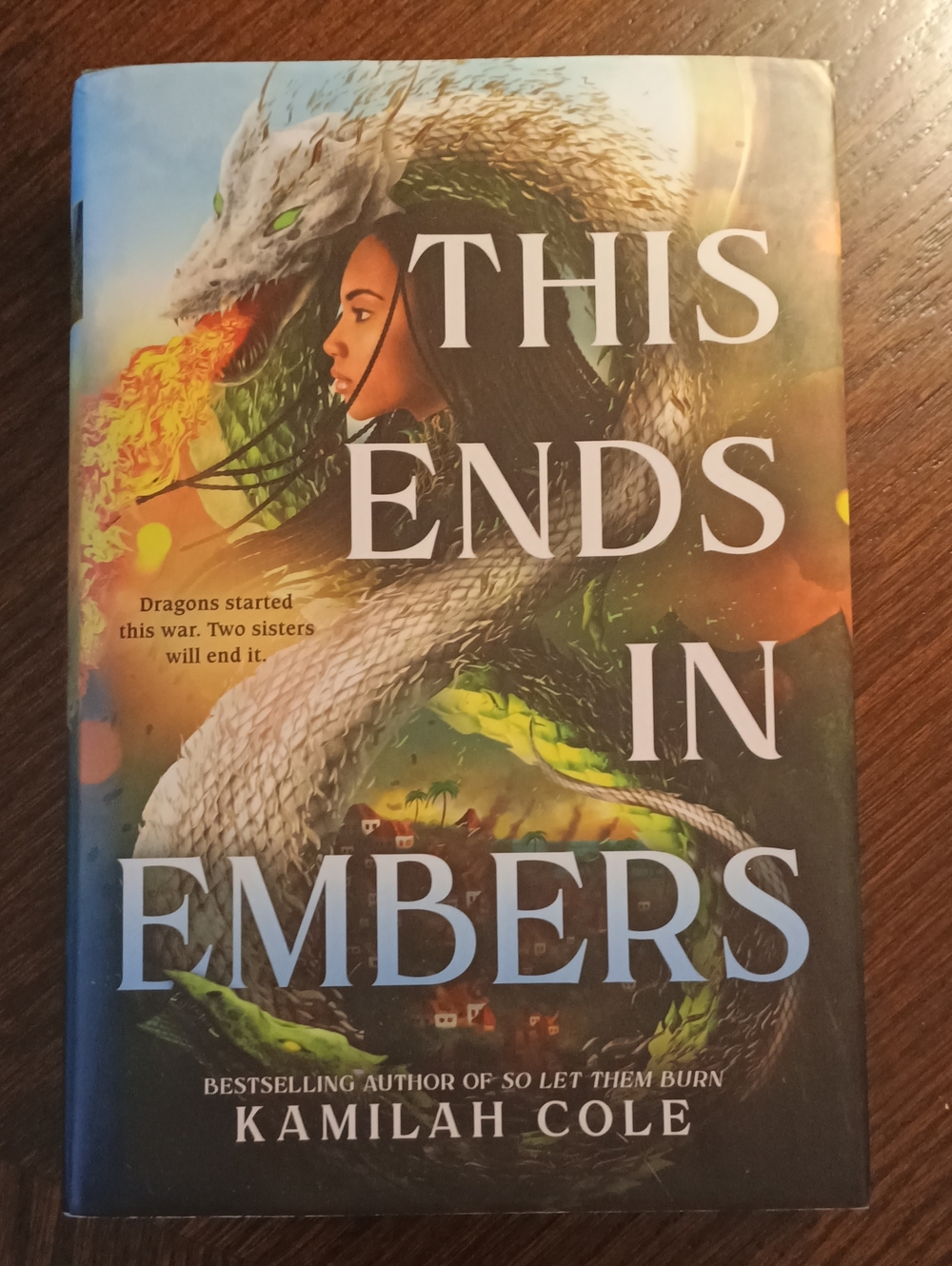 This Ends In Embers A Novel By Kamilah Cole 405 Pages